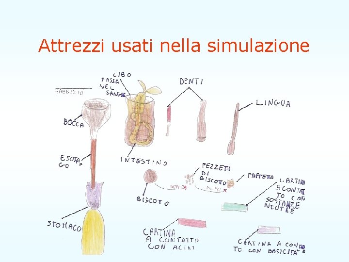 Attrezzi usati nella simulazione 