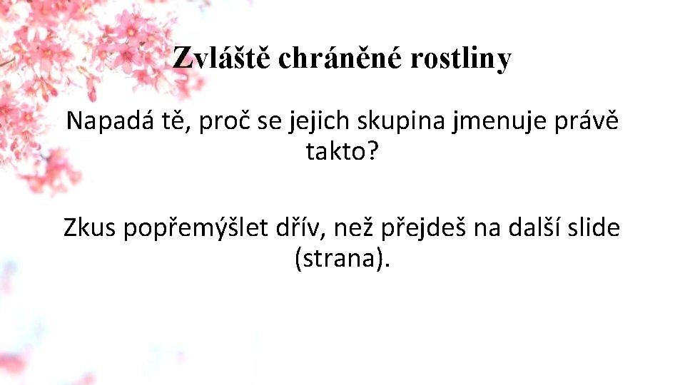 Zvláště chráněné rostliny Napadá tě, proč se jejich skupina jmenuje právě takto? Zkus popřemýšlet