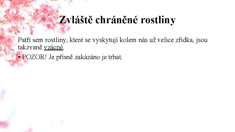 Zvláště chráněné rostliny Patří sem rostliny, které se vyskytují kolem nás už velice zřídka,