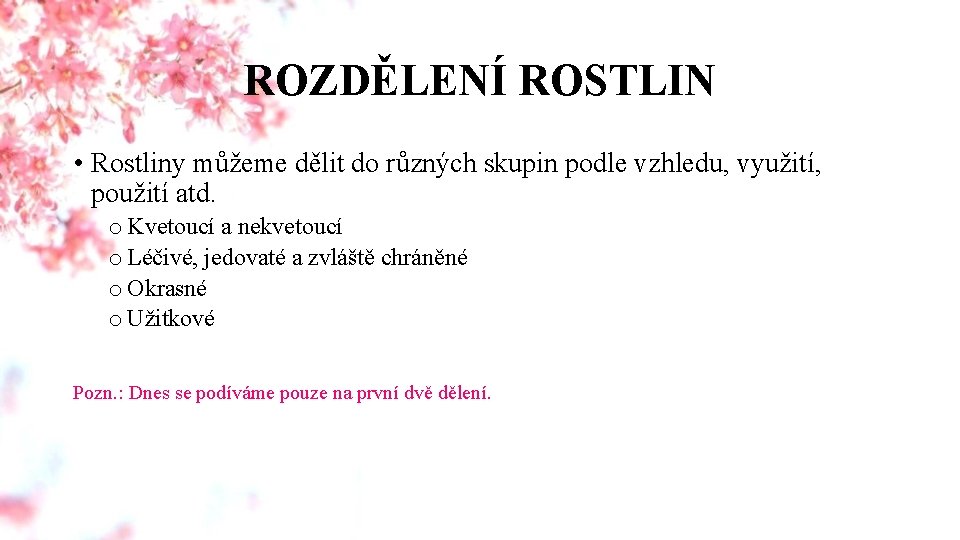 ROZDĚLENÍ ROSTLIN • Rostliny můžeme dělit do různých skupin podle vzhledu, využití, použití atd.