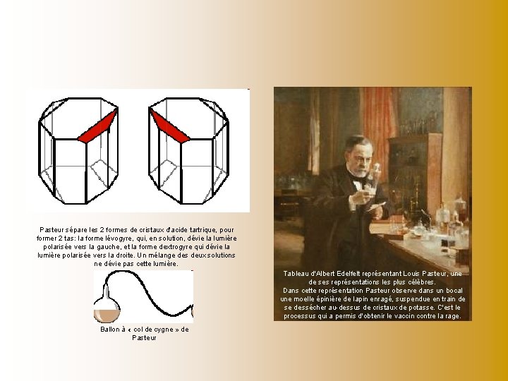 Pasteur sépare les 2 formes de cristaux d'acide tartrique, pour former 2 tas: la