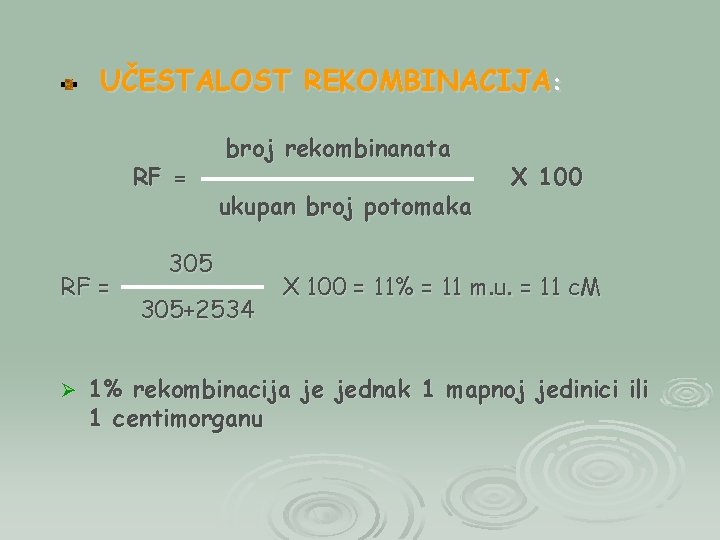 UČESTALOST REKOMBINACIJA: RF = Ø broj rekombinanata ukupan broj potomaka 305+2534 X 100 =