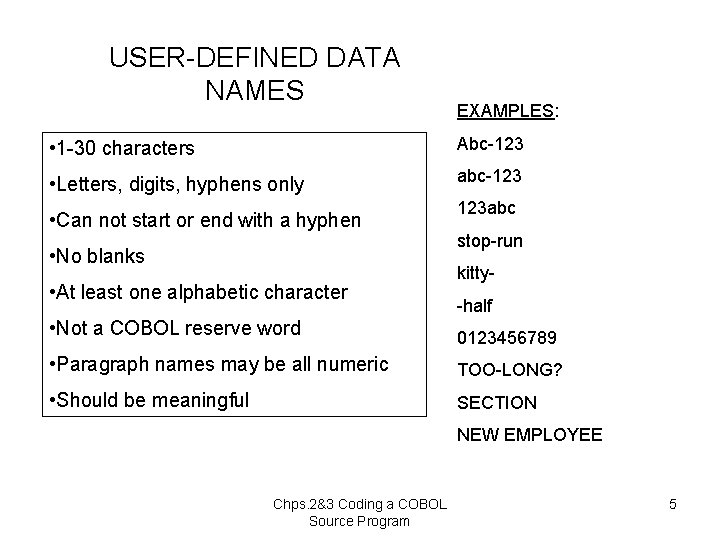 USER-DEFINED DATA NAMES EXAMPLES: • 1 -30 characters Abc-123 • Letters, digits, hyphens only
