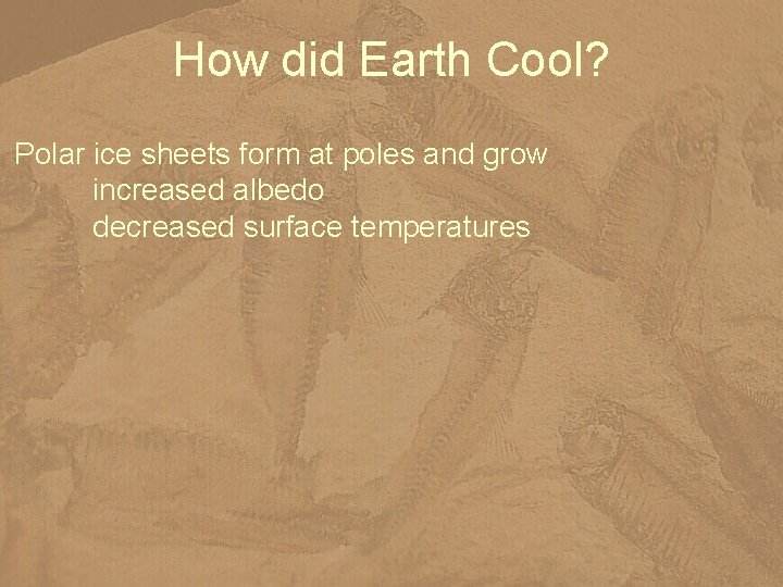 How did Earth Cool? Polar ice sheets form at poles and grow increased albedo