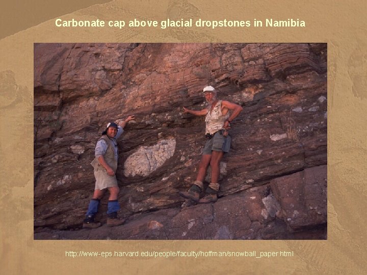 Carbonate cap above glacial dropstones in Namibia http: //www-eps. harvard. edu/people/faculty/hoffman/snowball_paper. html 