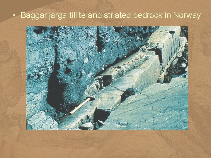  • Bagganjarga tillite and striated bedrock in Norway 