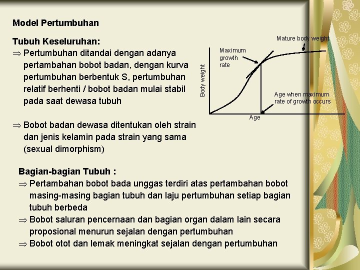 Model Pertumbuhan Þ Bobot badan dewasa ditentukan oleh strain dan jenis kelamin pada strain