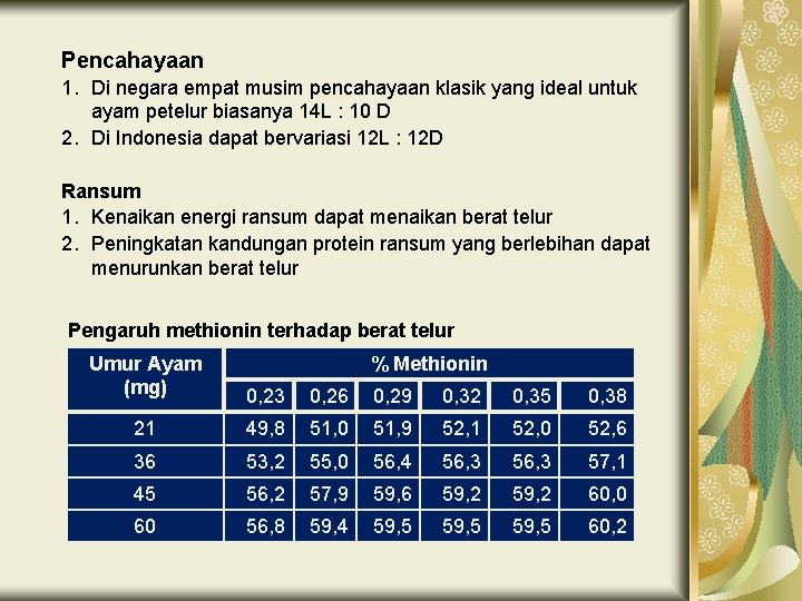 Pencahayaan 1. Di negara empat musim pencahayaan klasik yang ideal untuk ayam petelur biasanya