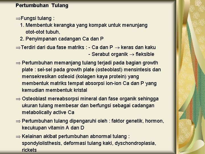 Pertumbuhan Tulang ÞFungsi tulang : 1. Membentuk kerangka yang kompak untuk menunjang otot-otot tubuh,