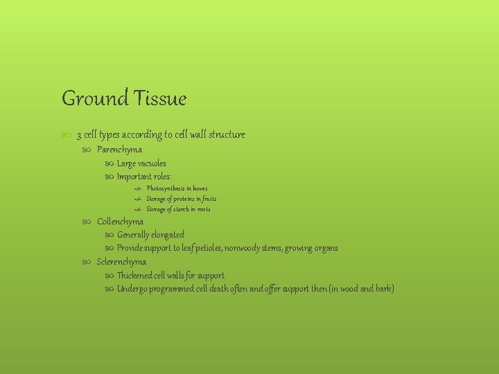 Ground Tissue 3 cell types according to cell wall structure Parenchyma Large vacuoles Important