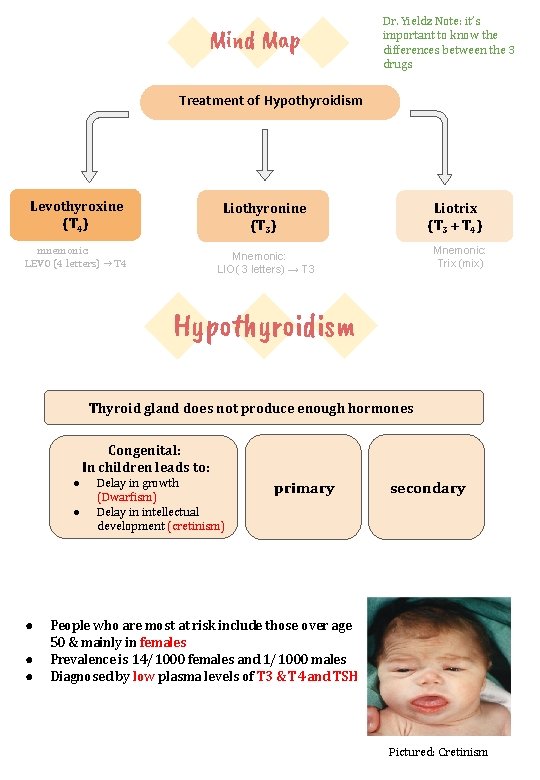 Mind Map Dr. Yieldz Note: it’s important to know the differences between the 3