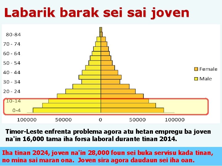 Labarik barak sei sai joven Timor-Leste enfrenta problema agora atu hetan empregu ba joven