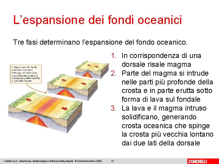 L’espansione dei fondi oceanici Tre fasi determinano l’espansione del fondo oceanico. 1. In corrispondenza