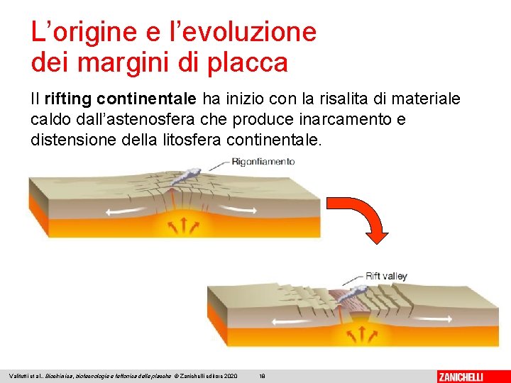 L’origine e l’evoluzione dei margini di placca Il rifting continentale ha inizio con la