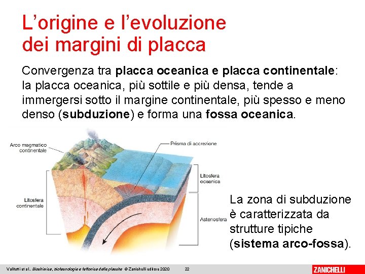 L’origine e l’evoluzione dei margini di placca Convergenza tra placca oceanica e placca continentale: