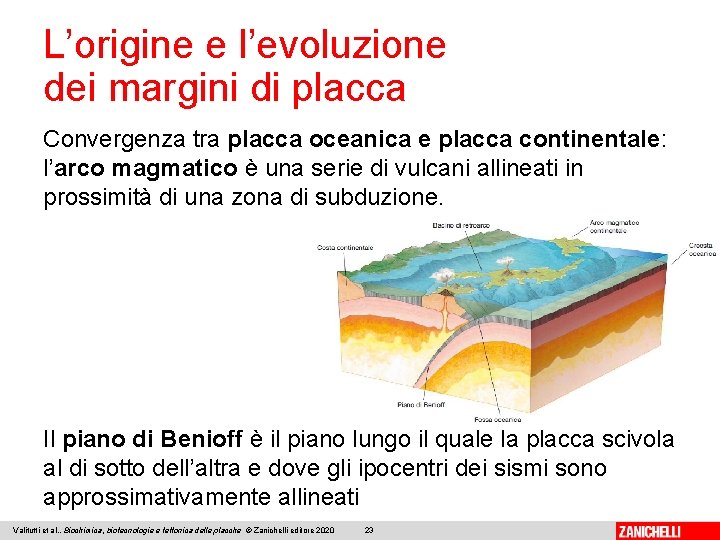 L’origine e l’evoluzione dei margini di placca Convergenza tra placca oceanica e placca continentale:
