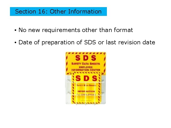 Section 16: Other Information • No new requirements other than format • Date of