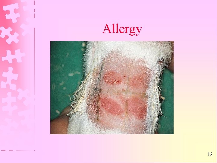 Allergy 16 