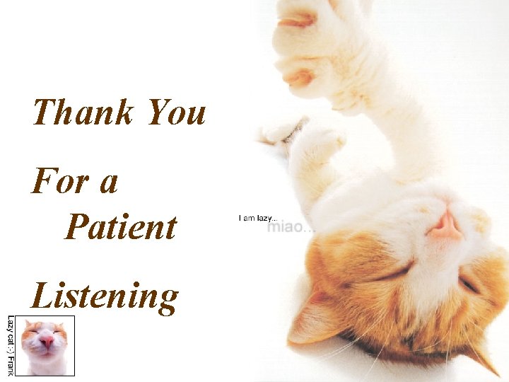 Thank You For a Patient Listening 