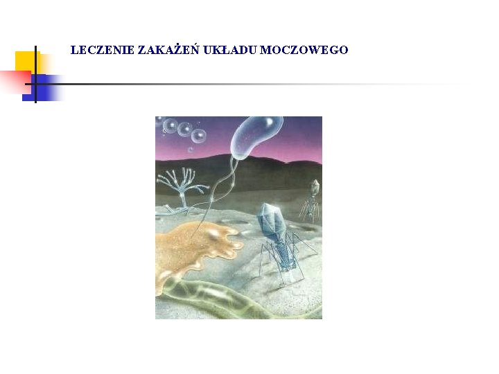 LECZENIE ZAKAŻEŃ UKŁADU MOCZOWEGO 