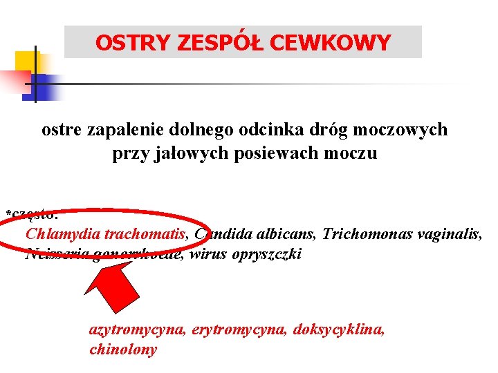OSTRY ZESPÓŁ CEWKOWY LECZENIE ZAKAŻEŃ UKŁADU MOCZOWEGO ostre zapalenie dolnego odcinka dróg moczowych przy