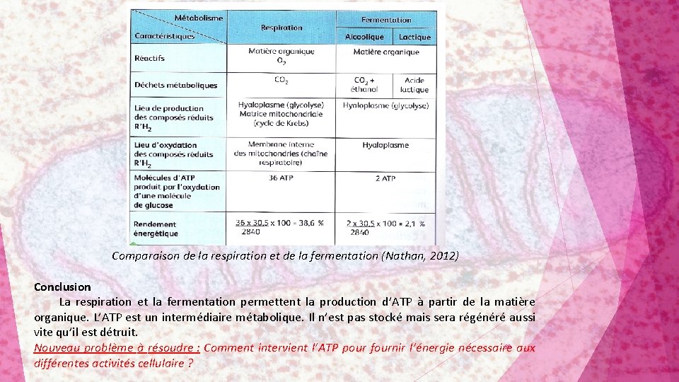 Comparaison de la respiration et de la fermentation (Nathan, 2012) Conclusion La respiration et