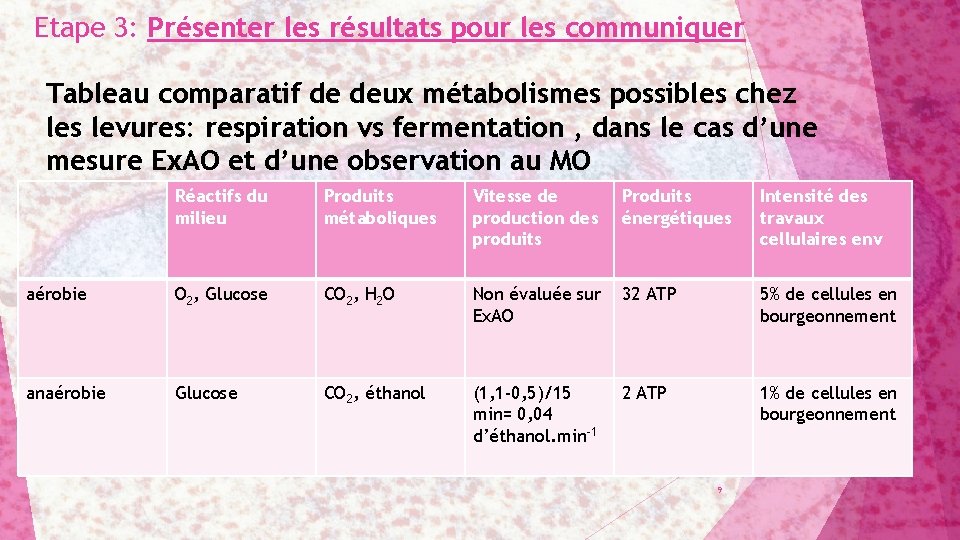 Etape 3: Présenter les résultats pour les communiquer Tableau comparatif de deux métabolismes possibles