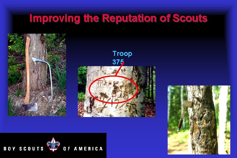 Improving the Reputation of Scouts Troop 375 