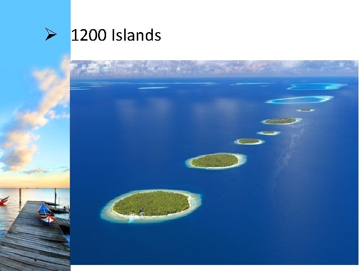 Ø 1200 Islands 