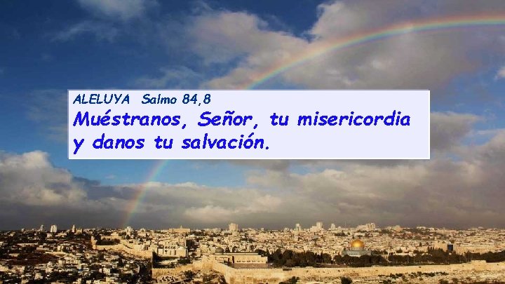 ALELUYA Salmo 84, 8 Muéstranos, Señor, tu misericordia y danos tu salvación. 