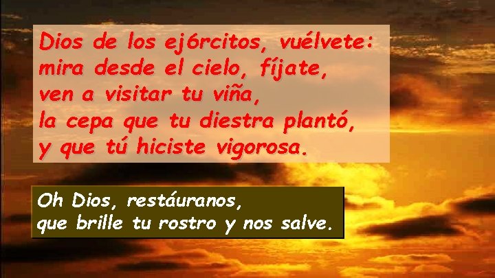 Dios de los ej 6 rcitos, vuélvete: mira desde el cielo, fíjate, ven a