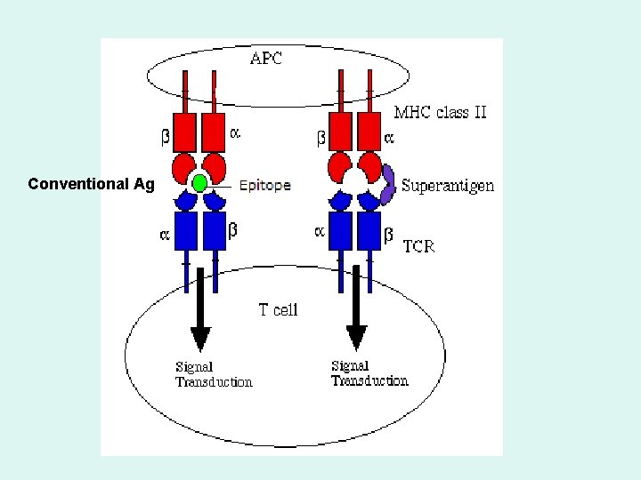 Conventional Ag 