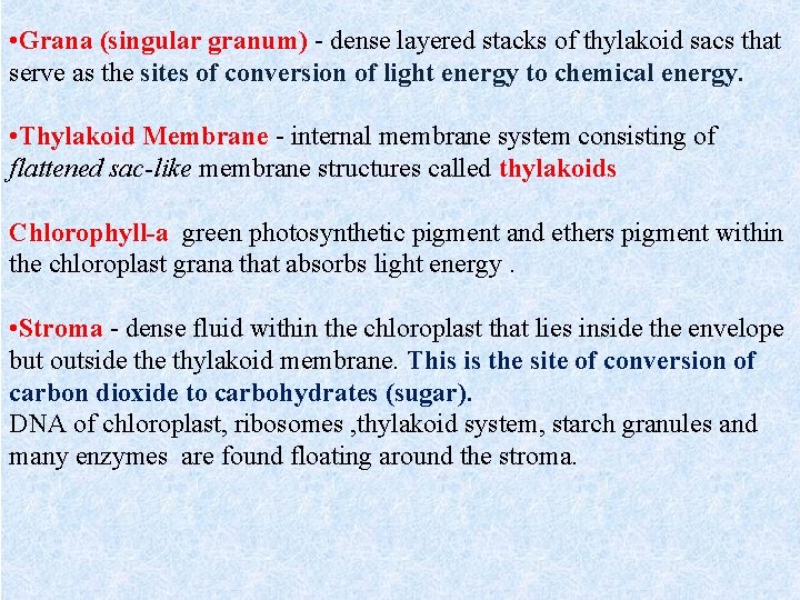  • Grana (singular granum) - dense layered stacks of thylakoid sacs that serve