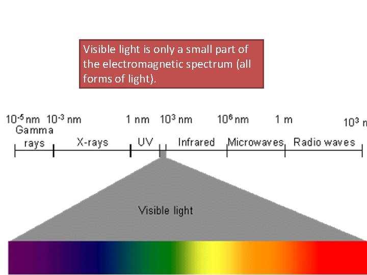 Visible light is only a small part of the electromagnetic spectrum (all forms of