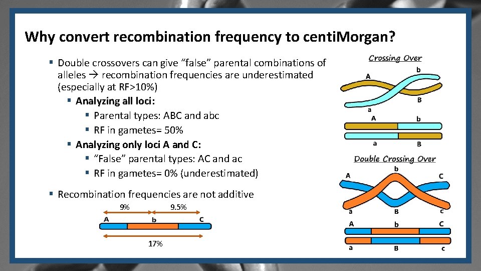 Why convert recombination frequency to centi. Morgan? § Double crossovers can give “false” parental Why convert recombination frequency to centi. Morgan? § Double crossovers can give “false” parental