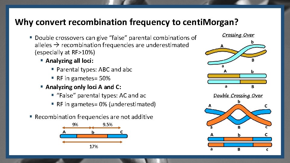 Why convert recombination frequency to centi. Morgan? § Double crossovers can give “false” parental