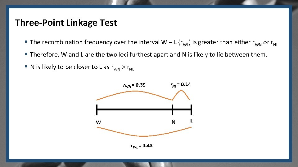 Three-Point Linkage Test § The recombination frequency over the interval W – L (r. Three-Point Linkage Test § The recombination frequency over the interval W – L (r.