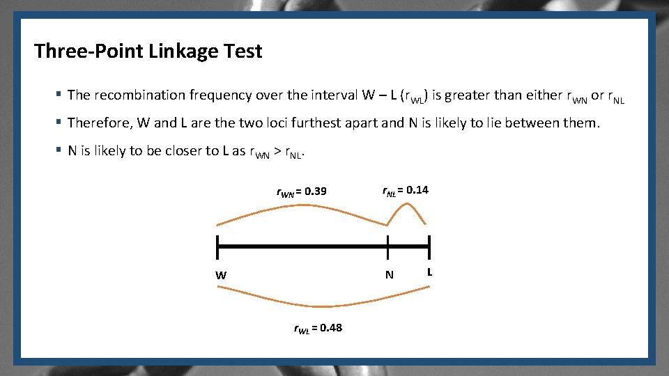 Three-Point Linkage Test § The recombination frequency over the interval W – L (r.