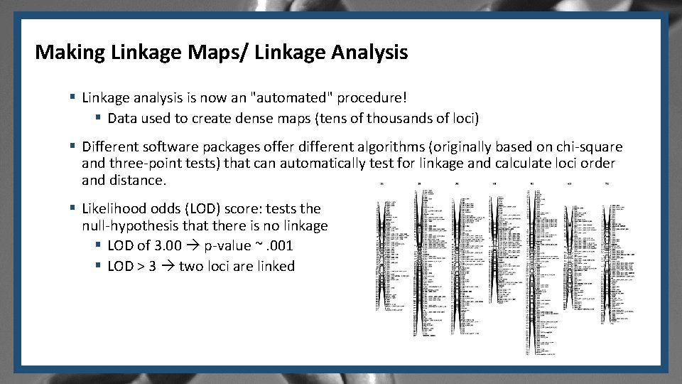 Making Linkage Maps/ Linkage Analysis § Linkage analysis is now an "automated" procedure! §