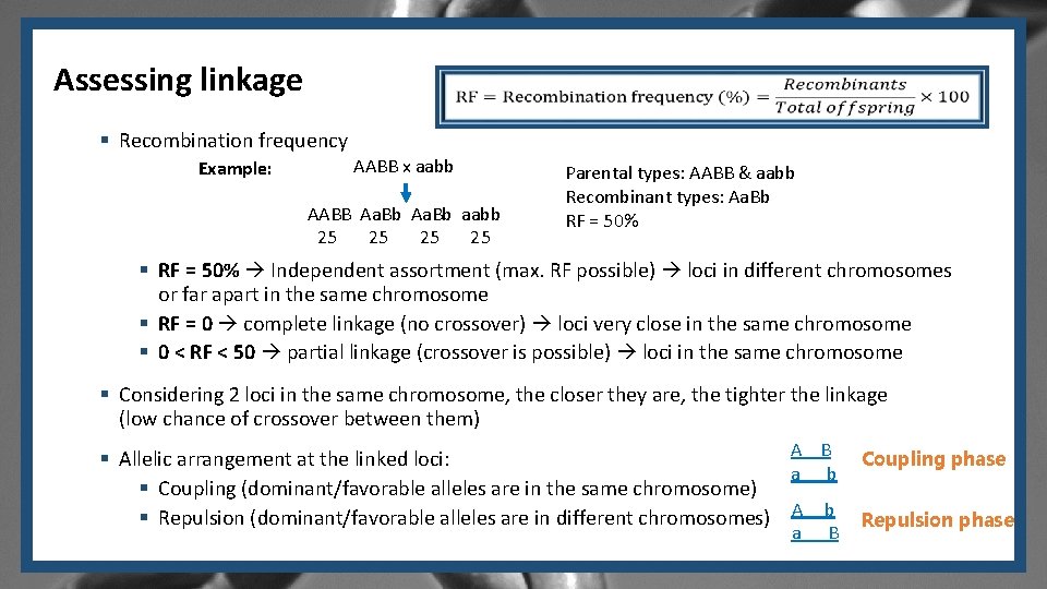 Assessing linkage § Recombination frequency Example: AABB x aabb AABB Aa. Bb aabb 25 Assessing linkage § Recombination frequency Example: AABB x aabb AABB Aa. Bb aabb 25