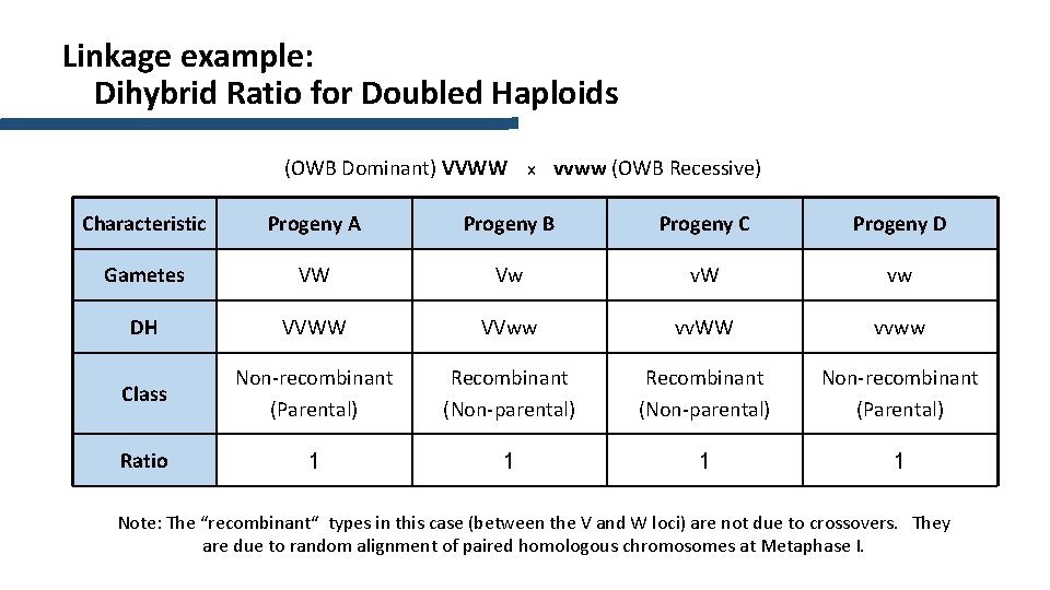 Linkage example: Dihybrid Ratio for Doubled Haploids (OWB Dominant) VVWW x vvww (OWB Recessive)