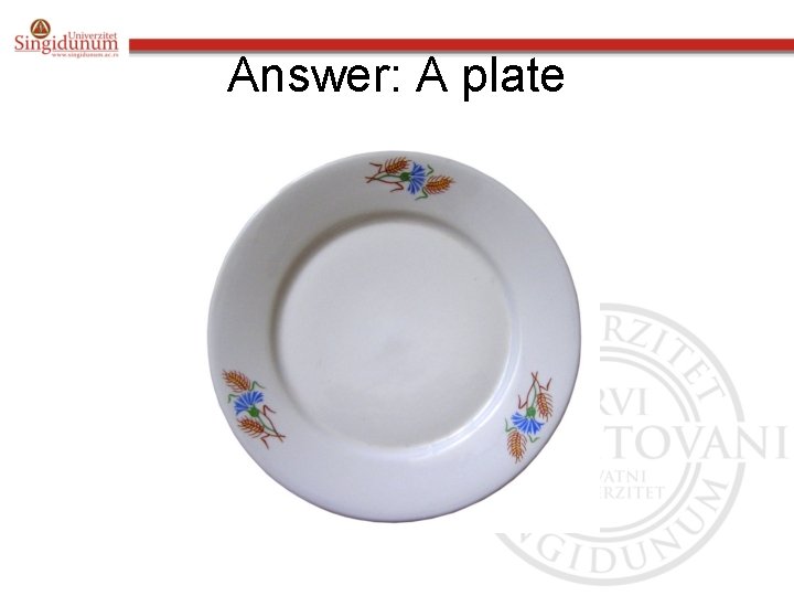 Answer: A plate 