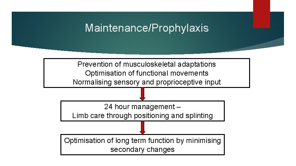 Maintenance/Prophylaxis Prevention of musculoskeletal adaptations Optimisation of functional movements Normalising sensory and proprioceptive input