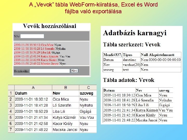 A „Vevok” tábla Web. Form-kiiratása, Excel és Word fájlba való exportálása 