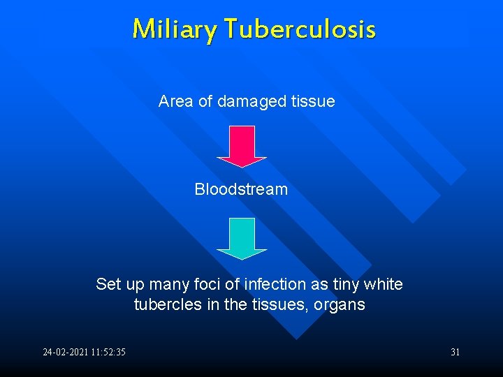 Miliary Tuberculosis Area of damaged tissue Bloodstream Set up many foci of infection as