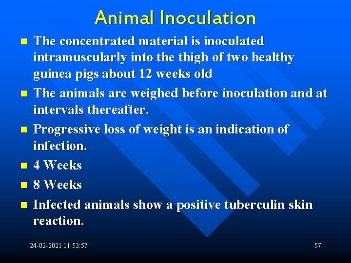 Animal Inoculation n n n The concentrated material is inoculated intramuscularly into the thigh