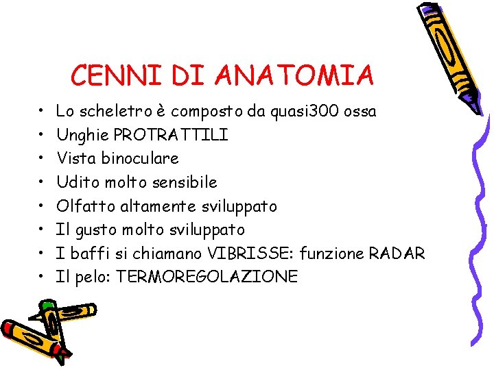 CENNI DI ANATOMIA • • Lo scheletro è composto da quasi 300 ossa Unghie