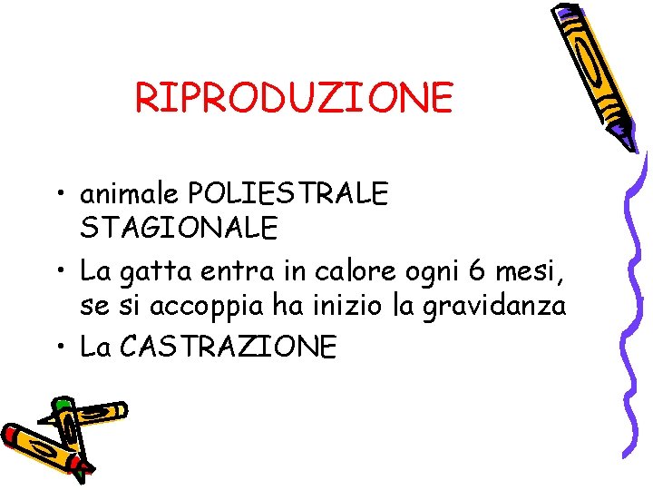 RIPRODUZIONE • animale POLIESTRALE STAGIONALE • La gatta entra in calore ogni 6 mesi,