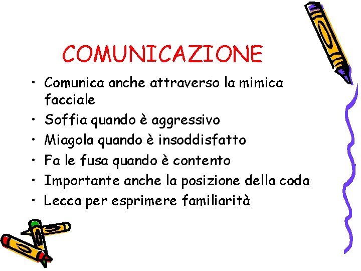 COMUNICAZIONE • Comunica anche attraverso la mimica facciale • Soffia quando è aggressivo •