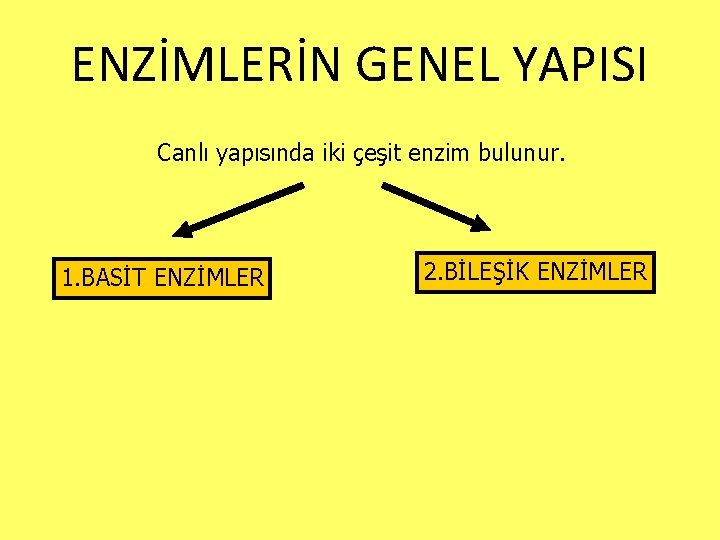 ENZİMLERİN GENEL YAPISI Canlı yapısında iki çeşit enzim bulunur. 1. BASİT ENZİMLER 2. BİLEŞİK